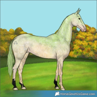 Horse Color:Void Watercolor Chestnut Ice 