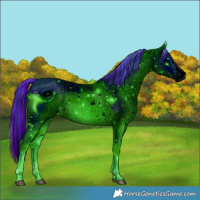Horse Color:ERROR: UNKNOWN ANOMALY