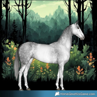 Horse Color:Gray White Spotted Liver Chestnut 