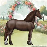 Horse Color:White Spotted Liver Chestnut 