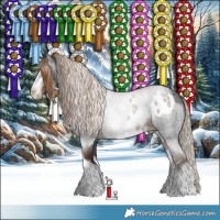 Horse Color:Gray White Spotted Silver Brown Roan Pearl Near Leopard  and Gray White Spotted Liver Red Roan 