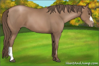 Horse Color:Black Pearl