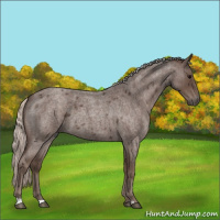 Horse Color:Silver Blue Roan 