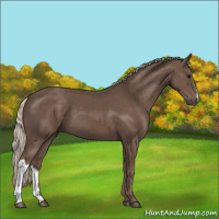 Horse Color:Silver Black 
