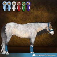 Horse Color:Buckskin Roan Sabino Varnish 