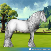 Horse Color:Gray White Spotted Brown 