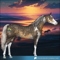 Horse Color:Silver Smoky Black Sabino 