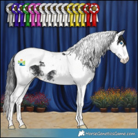 Horse Color:White Spotted Black Splash Tobiano