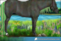 Horse Color:Painted Watercolor Midnight Liver Red Onyx Ice Pearl Brindle 