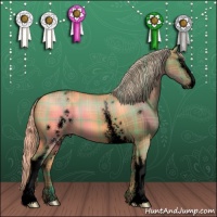 Horse Color:Void Plaid  White Spotted Chocolate Palomino Dun Sabino 