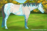 Horse Color:Thunderstruck Amber Champagne Dun Appaloosa