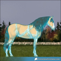 Horse Color:Thunderstruck Buckskin Dun 