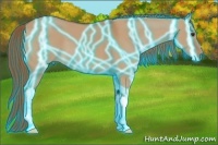 Horse Color:Thunderstruck Red Dun 