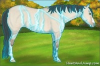 Horse Color:Thunderstruck Amber Champagne Dun 