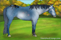 Horse Color:ERROR: UNKNOWN ANOMALY
