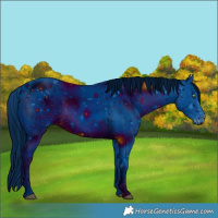 Horse Color:ERROR: UNKNOWN ANOMALY