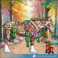 Horse Color:Gray Black Pearl Appaloosa 