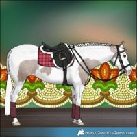 Horse Color:Silver Black Splash Tobiano Appaloosa 