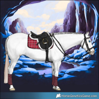 Horse Color:White Spotted Amber Champagne Splash Frame Appaloosa 