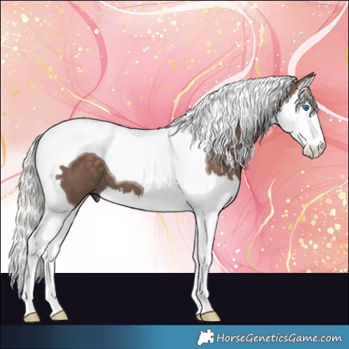 Horse Color:Silver Black Splash Tobiano 