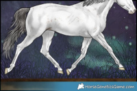 Horse Color:Bay Sabino 