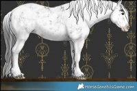 Horse Color:Black Sabino 