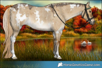 Horse Color:White Spotted Chocolate Palomino Roan Dun 
