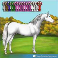 Horse Color:White Spotted Amber Champagne Pearl Dun Mushroom Splash Appaloosa 