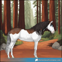 Horse Color:Brown Splash 