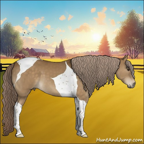 Horse Color:Chocolate Palomino Tobiano 