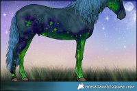 Horse Color:ERROR: UNKNOWN ANOMALY