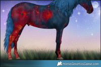 Horse Color:ERROR: UNKNOWN ANOMALY