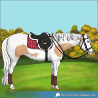 Horse Color:Silver Classic Champagne Splash Tobiano 