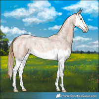 Horse Color:Red Roan Splash 
