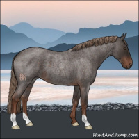 Horse Color:Liver Red Roan 
