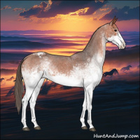 Horse Color:White Spotted Bay Sabino Varnish 