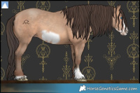 Horse Color:Amber Champagne Frame 