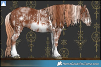 Horse Color:White Spotted Chestnut Frame  and White Spotted Chestnut Frame 