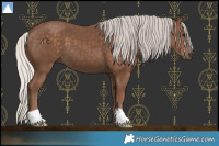 Horse Color:Silver Black 