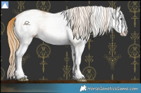 Horse Color:White Spotted Chestnut Splash 