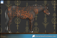 Horse Color:Silver Bay  and Black 