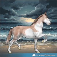 Horse Color:White Spotted Gold Champagne Splash 