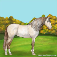 Horse Color:Buckskin Roan Pearl  and Gray Buckskin Roan Pearl 