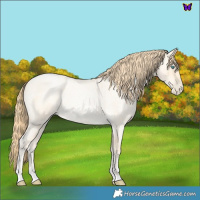 Horse Color:Buckskin Roan Pearl  and Buckskin Roan Pearl 