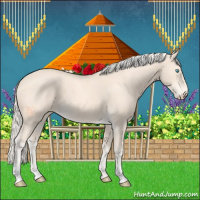 Horse Color:Cremello 
