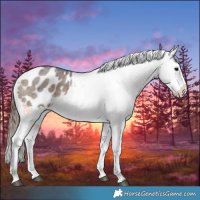 Horse Color:Brown Roan Dun Varnish 
