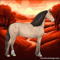 Horse Color:Amber Champagne Roan 