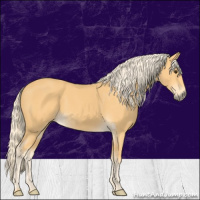 Horse Color:Palomino