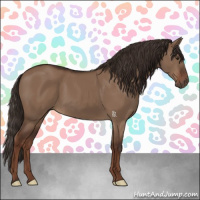 Horse Color:Liver Red Dun 
