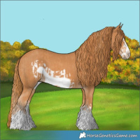 Horse Color:Chestnut Splash Frame  and Chestnut Splash Frame 